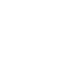 Peinture  et Vernissage